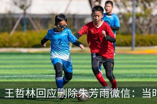 王哲林回应删除朱芳雨微信：当时被盗删了几百人 包括我妈也被删了